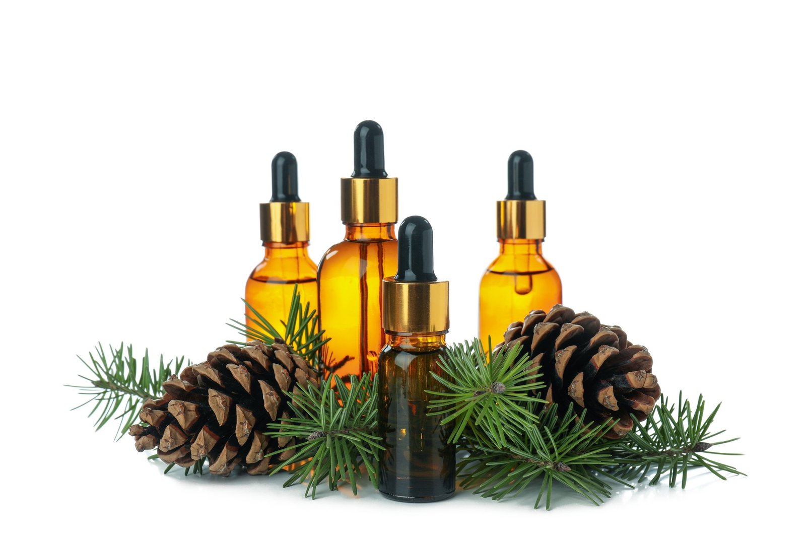 Pine essential oils isolated on white background